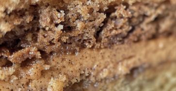 Addictive Cinnamon Cake
