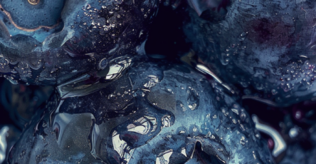 Blueberry Butter: A Deliciously Fruity Spread for Every Occasion