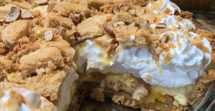 Kentucky Sawdust Pie: A Classic Southern Delight