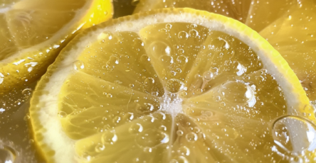 State Fair Lemonade: The Ultimate Refreshing Summer Drink