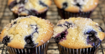The Best Blueberry Muffins Ever