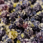 Blueberry Jalapeño Sugar: A Zesty Sweet Twist for Every Dish