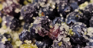 Blueberry Jalapeño Sugar: A Zesty Sweet Twist for Every Dish